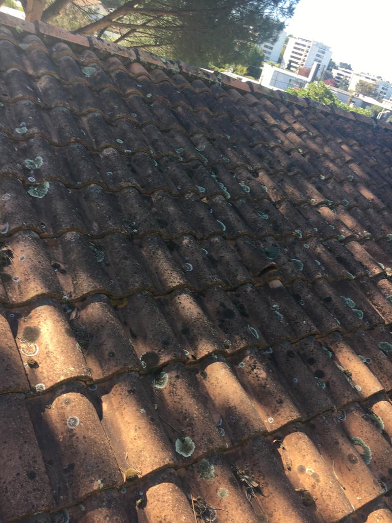Nettoyage de toiture réalisé par Entreprise Clivaz